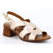 Sandalias Rivera 2735 Platino Hebilla