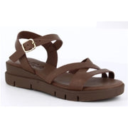 Sandalias Rivera 2532 Marron Hebilla