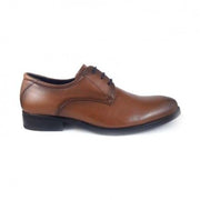 Zapatos BAERCHI 2751 Cuero Cordón Vestir